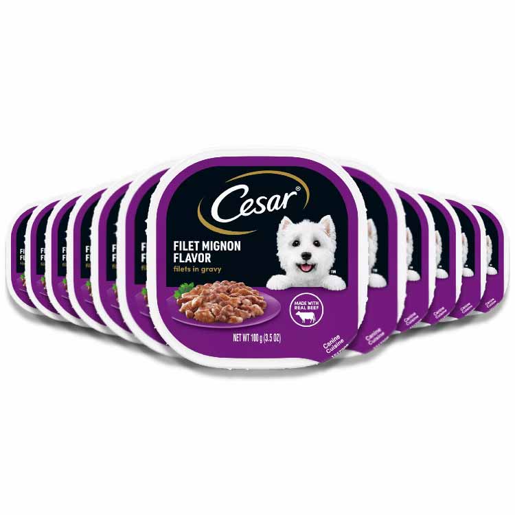 Cesar - Filets in Gravy Filet Mignon Beef Flavor Adult Wet Dog Food - 3.5 Oz - 24 Pack