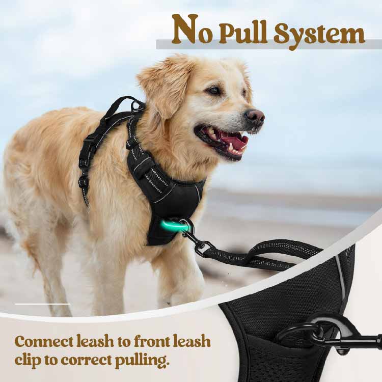 Rabbitgoo - Dog Harness No Pull with 2 Leash Clips, Adjustable Soft Padded