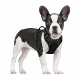 Rabbitgoo - Dog Harness No Pull with 2 Leash Clips, Adjustable Soft Padded