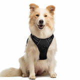 Rabbitgoo - Dog Harness No Pull with 2 Leash Clips, Adjustable Soft Padded