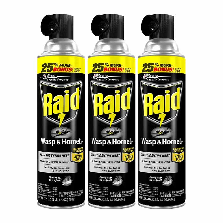 Raid Wasp & Hornet Killer - 3 Ct - 17.5 Oz