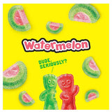 Sour Patch Kids Watermelon Soft Chewy Candy  2 oz - 24 Pack