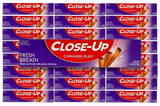 Close-Up - Fluoride Toothpaste Refreshing Gel - 6 Oz - 24 Pack