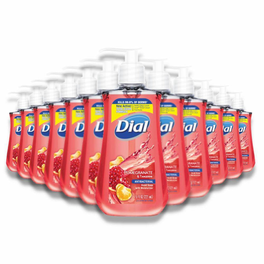 Dial pomegranate hand discount soap