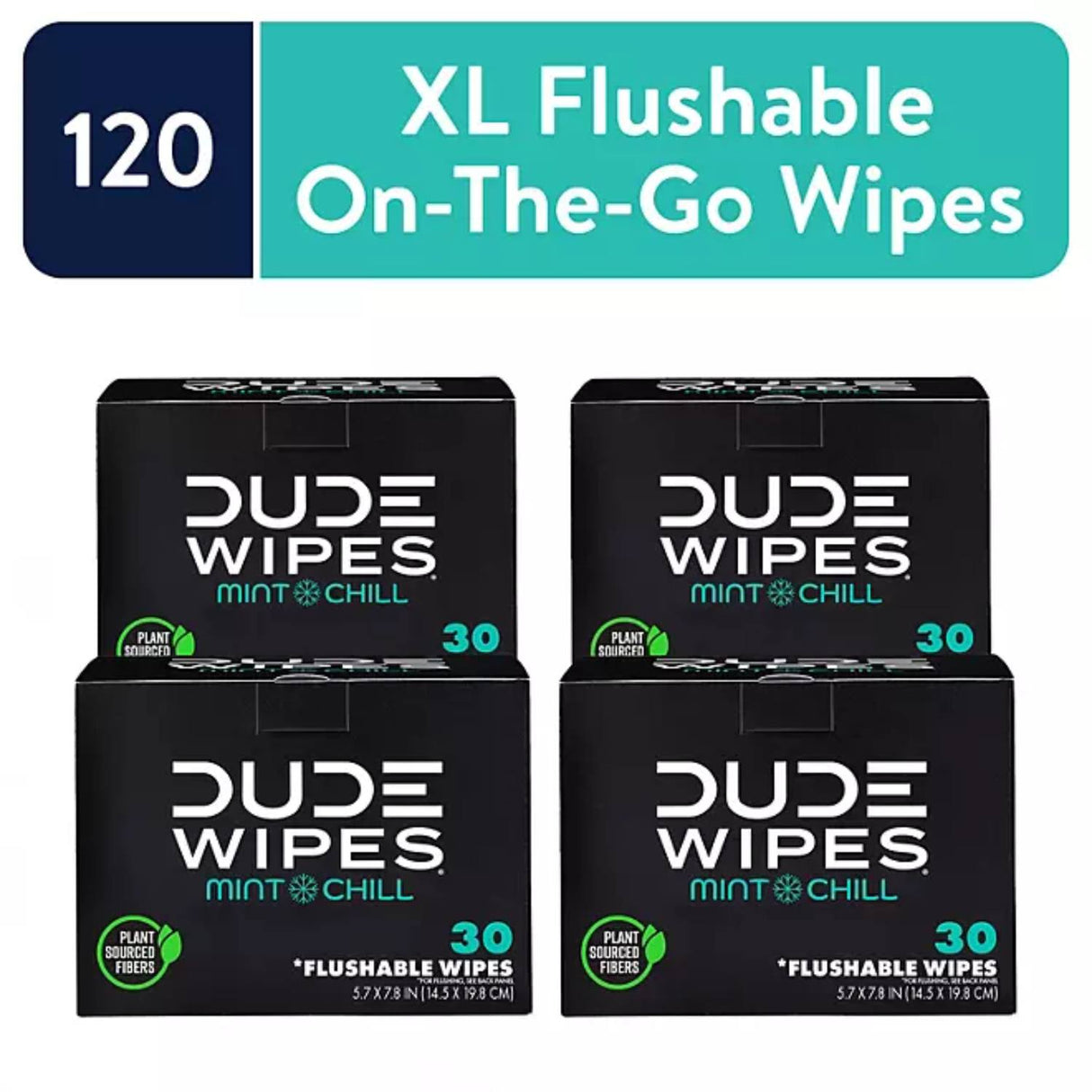 DUDE WIPES XL On-the-Go Flushable Wipes, Mint Chill - 4 Ct - 120 wipes