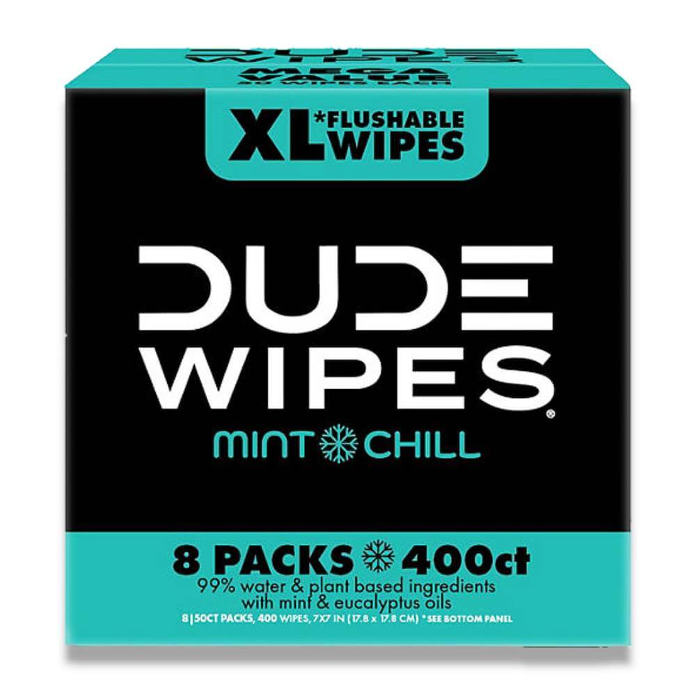 Dude Wipes Flushable Wipes Extra Large, Mint Chill (400 Ct