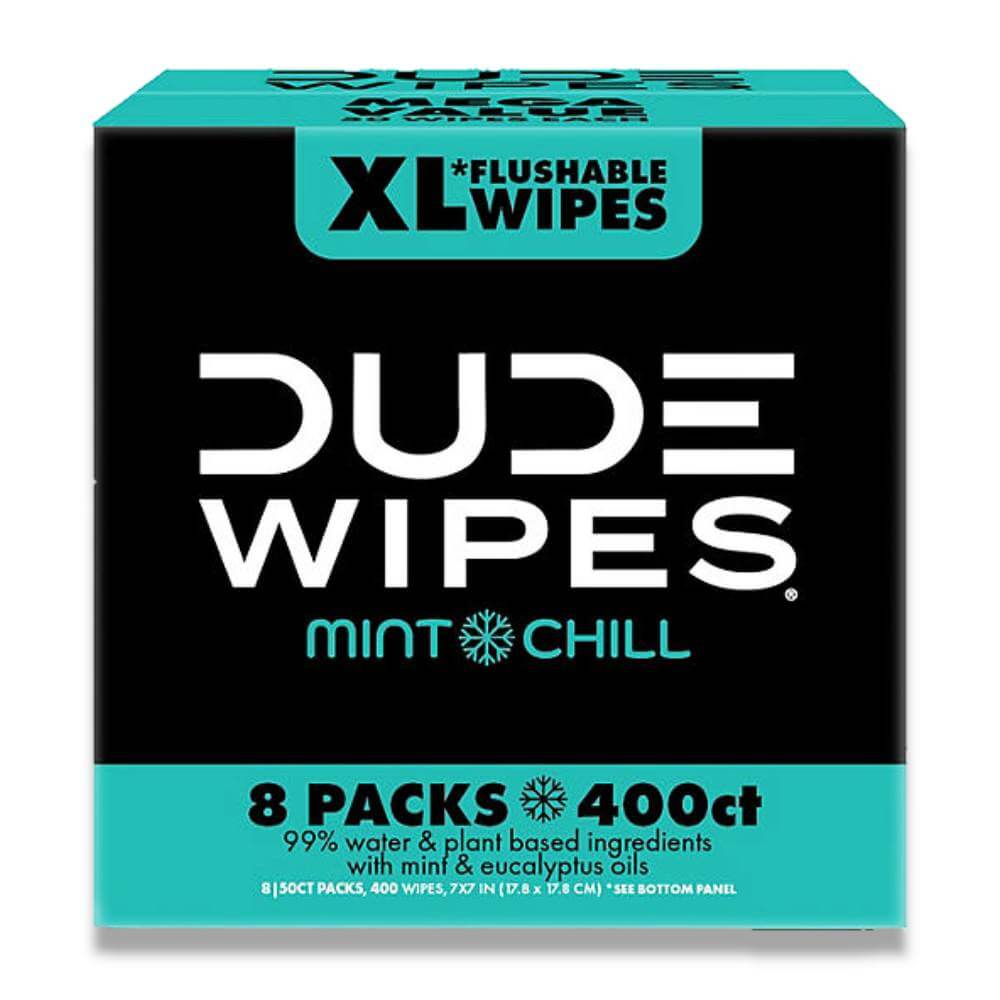 Dude Wipes Flushable Wipes - Extra Large, Mint Chill (400 Ct) Contarmarket