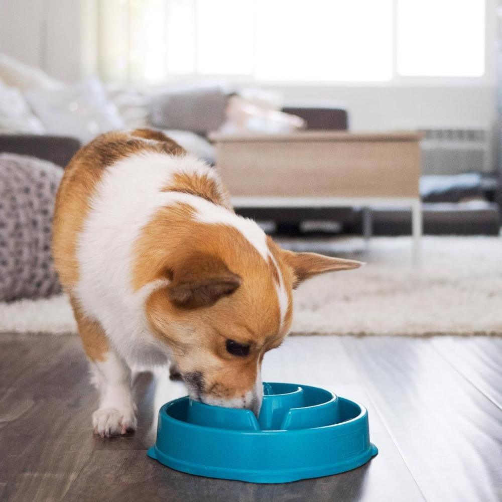 Outward Hound - Fun Feeder Slo Bowl, Slow Feeder Dog Bowl, Medium/Mini, Turquoise