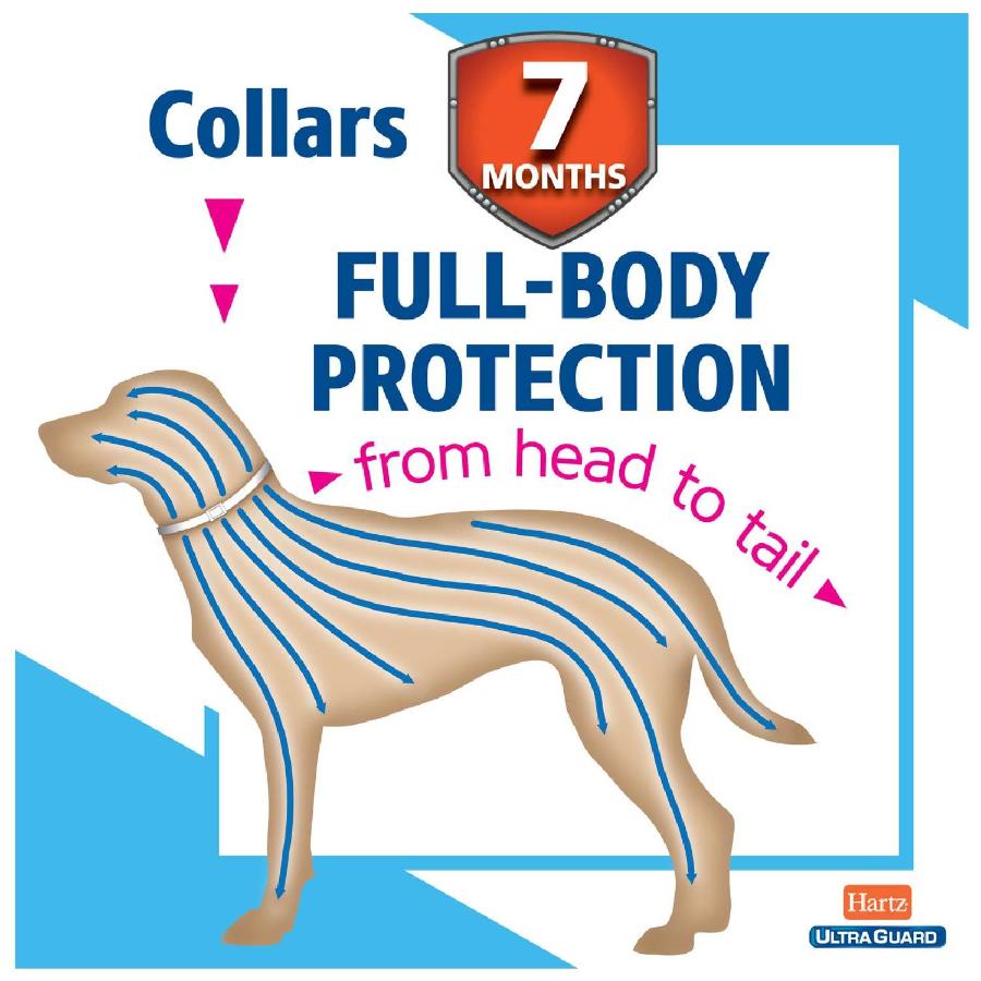 Hartz UltraGuard Flea & Tick Collar for Large Dogs- 12 Pack